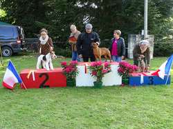 CACS SAINT-AMBREUIL 2019