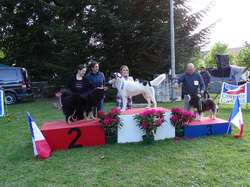 CACS SAINT-AMBREUIL 2019