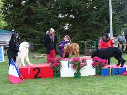 CACS SAINT-AMBREUIL 2019