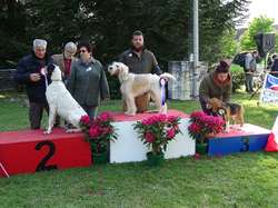 CACS SAINT-AMBREUIL 2019