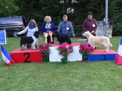 CACS SAINT-AMBREUIL 2019