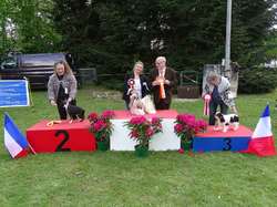 CACS SAINT-AMBREUIL 2019