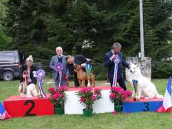 CACS SAINT-AMBREUIL 2019