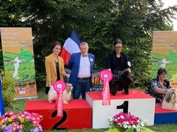 CACS SAINT AMBREUIL 2022