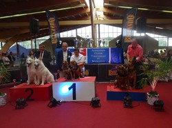 CACS SAULIEU 2018