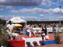 CACS - Semur-en-Auxois 2014