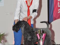 Championnat de France 2015