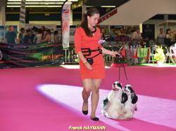 Championnat de France 2015