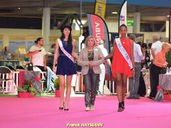 Championnat de France 2015