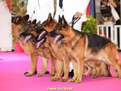 Championnat de France 2015