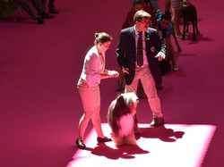 Championnat de France 2015