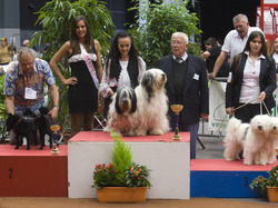 Exposition Canine Internationale Mâcon 2012