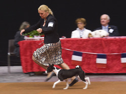 Exposition Canine Internationale Mâcon 2012
