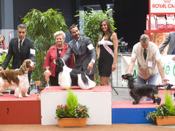 Exposition Canine Internationale Mâcon 2012