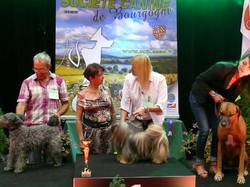 Exposition Canine Internationale - MÂCON 2015