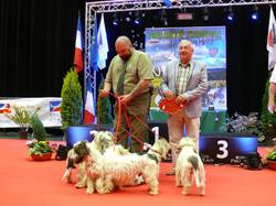 Exposition Canine Internationale - MÂCON 2015