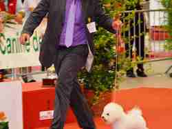 Exposition Canine Internationale NEVERS 2013