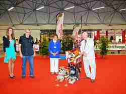 Exposition Canine Internationale NEVERS 2013