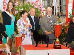 Exposition Canine Internationale NEVERS 2013