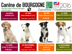 Expositions/Confirmations 2016